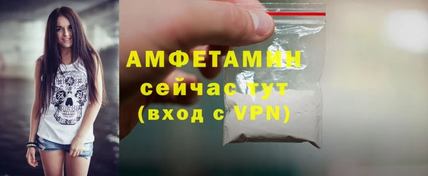 шишки Дмитриев