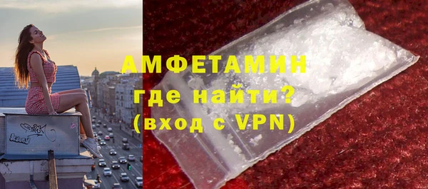 твердый Гусь-Хрустальный